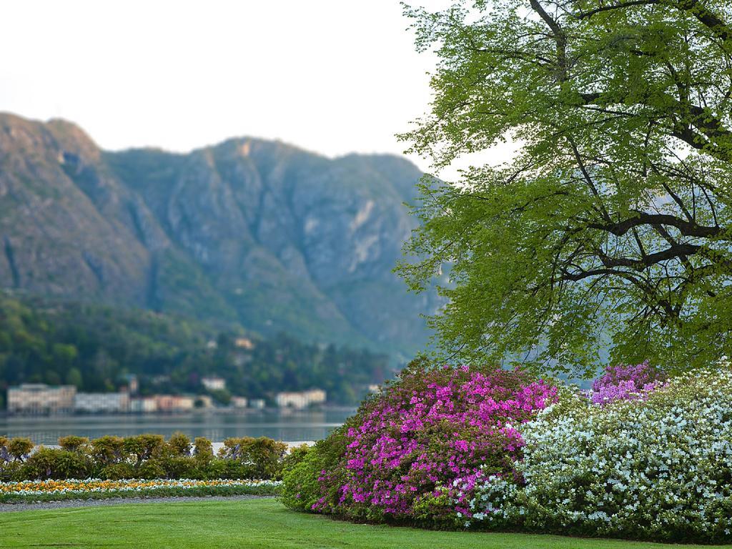 Colibri Lakeview Apartment Bellagio Quarto foto